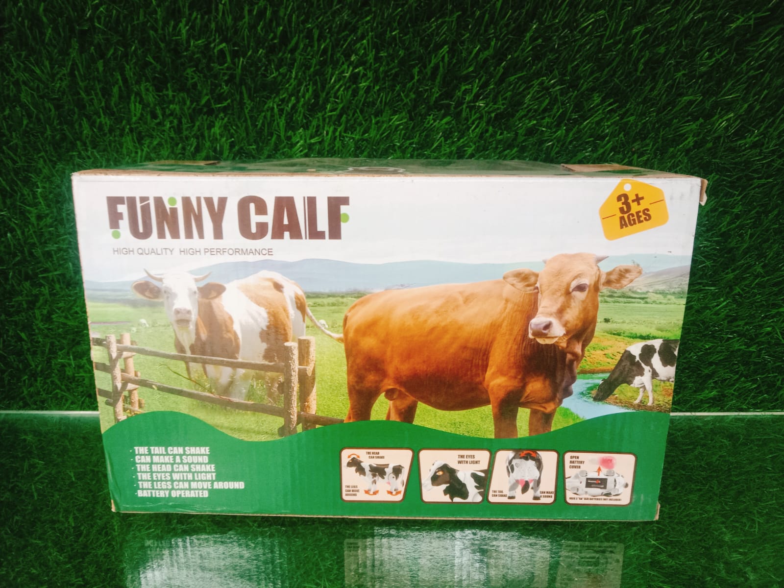 Funny Calf