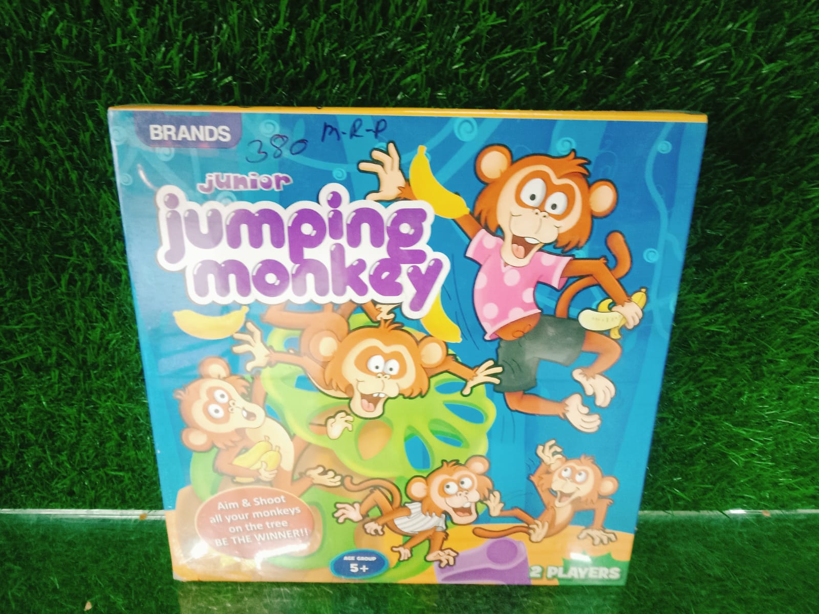 Jumping Monkey