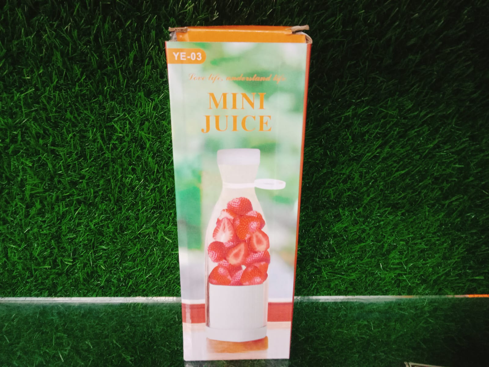 Mini Juicer